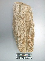 藏品(大型塊狀玉料)的圖片